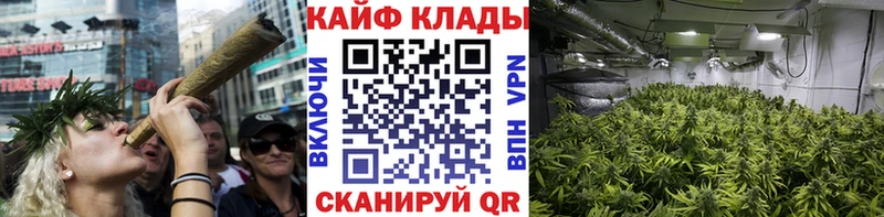 ЭКСТАЗИ Йошкар-Ола