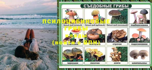 сатива Алексин