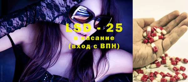 ГАЛЛЮЦИНОГЕННЫЕ ГРИБЫ Алзамай