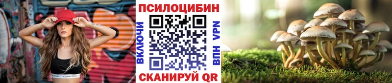 Псилоцибиновые грибы Cubensis  KRAKEN   Йошкар-Ола  где можно купить наркотик 