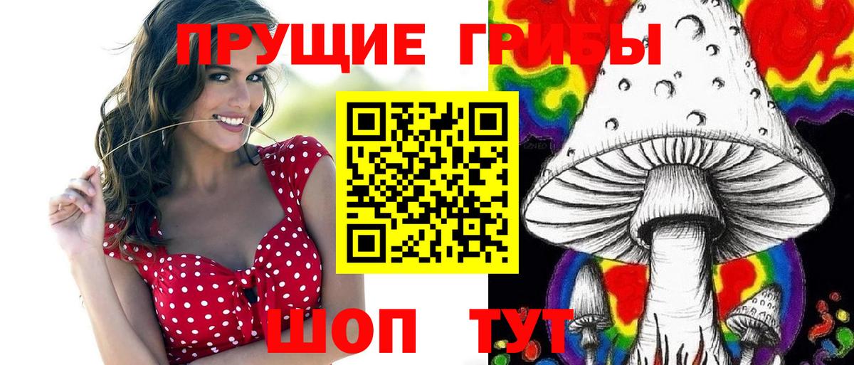 Йошкар-Ола  Галлюциногенные грибы GOLDEN TEACHER  Вход с VPN  Псилоцибиновые грибы Magic Shrooms 